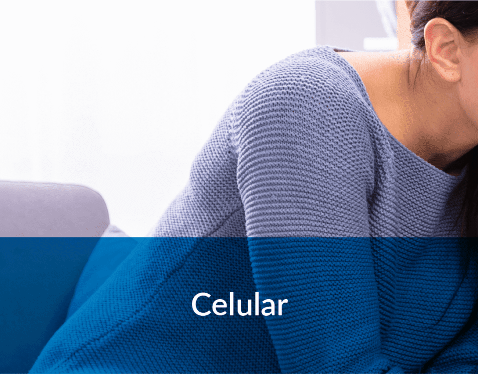 Soluciones de telecomunicaciones para empresas y hogar